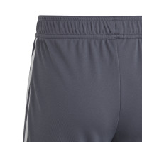 adidas Tiro 23 League Broekje Kids Grijs Wit
