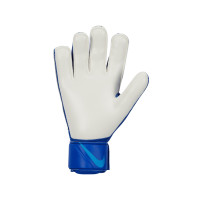Nike Match Keepershandschoenen Blauw Lichtblauw Wit
