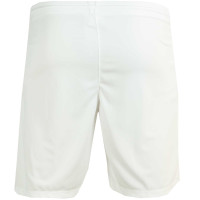 Nike NAC Breda 3e Broekje 2022-2023