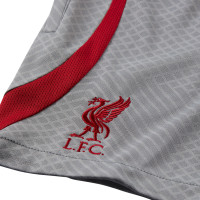Nike Liverpool Strike Short d'Entraînement 2022-2023 Enfants Gris Rouge