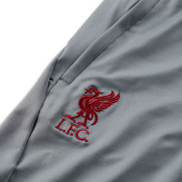 Nike Liverpool Strike Pantalon d'Entraînement 2022-2023 Enfants Gris Rouge