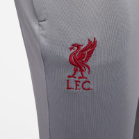 Nike Liverpool Strike Survêtement à Capuche Full-Zip 2022-2023 Gris Rouge