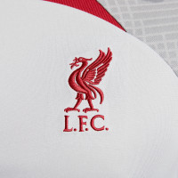 Nike Liverpool Strike Ensemble Training 2022-2023 Gris Rouge