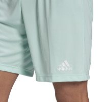 adidas Entrada 22 Short de Football Vert Menthe