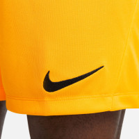 Nike Dri-FIT Park III Voetbalbroekje Geel Zwart