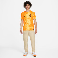 Nike Nederland Thuisshirt 2022-2024