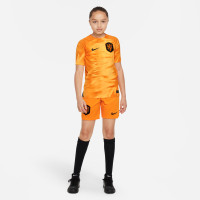 Nike Pays-Bas Maillot Domicile 2022-2024 Enfants