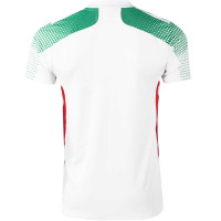 Maillot de football adidas pour enfants, blanc, rouge, vert