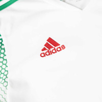 Maillot de football adidas pour enfants, blanc, rouge, vert