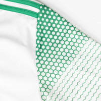 Maillot de football adidas pour enfants, blanc, rouge, vert