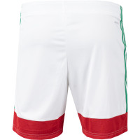 Short de football adidas pour enfants, blanc, rouge, vert