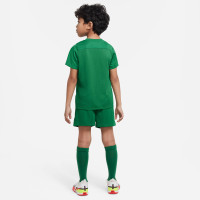 Nike DRY PARK 20 Tenue Enfants Vert