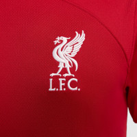 Nike Liverpool Maillot Domicile 2023-2024