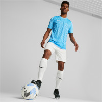 PUMA TeamULTIMATE Trainingsshirt Lichtblauw Wit