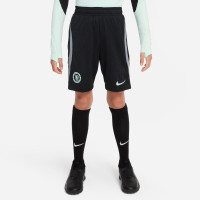 Nike Chelsea Strike Ensemble Training 2023-2024 Enfants Vert Menthe Noir Gris