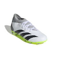 adidas Predator Accuracy.3 Gras Voetbalschoenen (FG) Kids Wit Grijs Felgeel Zwart