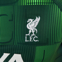 Nike Liverpool Pre-Match Maillot d'Entraînement 2023-2024 Vert Blanc