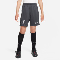 Nike Liverpool Academy Pro Short d'Entraînement 2023-2024 Enfants Gris Foncé Blanc