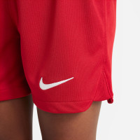 Nike Liverpool Minikit Thuis 2023-2024 Kleuters
