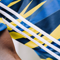 Maillot d'entraînement d'échauffement adidas SC Cambuur 2023-2024 jaune bleu