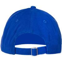PEC Zwolle Casual Cap Blauw