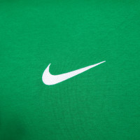 Sweat à capuche Nike Park 20 vert