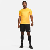 Nike Maillot Gardien IV Gardien de but à manches courtes Jaune Or
