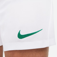 Nike Dri-FIT Park III Voetbalbroekje Wit Groen