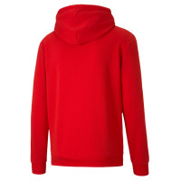 Chandail à capuche PUMA TeamGoal 23 Casuals rouge