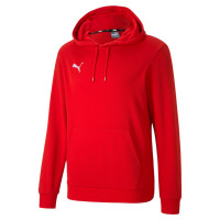 Chandail à capuche PUMA TeamGoal 23 Casuals rouge