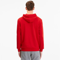Chandail à capuche PUMA TeamGoal 23 Casuals rouge