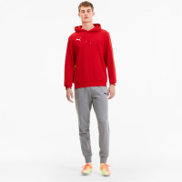 Chandail à capuche PUMA TeamGoal 23 Casuals rouge