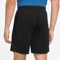 Nike Academy Short d'Entraînement Noir Doré