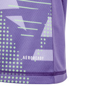 adidas Tiro 24 Competition Keepersshirt Lange Mouwen Kids Paars Lichtgroen