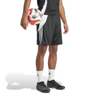 Set d'entraînement adidas Tabela gris clair blanc noir