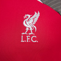 Nike Liverpool Strike Maillot d'Entrâinement 2023-2024 Rouge Gris Foncé Gris