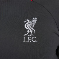 Nike Liverpool Strike Survêtement 1/4-Zip 2023-2024 Gris Foncé Gris Rouge