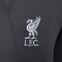 Nike Liverpool Strike Survêtement 1/4-Zip 2023-2024 Rouge Gris Foncé Gris
