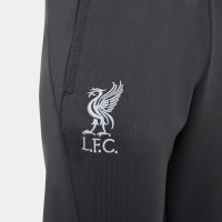 Nike Liverpool Strike Pantalon d'Entraînement 2023-2024 Enfants Gris Foncé Gris