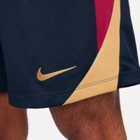 Nike FC Barcelone Strike Short d'Entraînement 2023-2024 Bleu Foncé Bordeaux Doré
