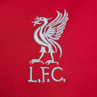 Nike Liverpool Strike Haut d'Entraînement 1/4-Zip 2023-2024 Femmes Rouge Gris Foncé Gris