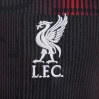Nike Liverpool Pre-Match Maillot d'Entraînement 2023-2024 Rouge Gris