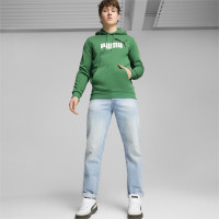 PUMA Essentials+ 2 College Big Logo Fleece Sweat à Capuche Vert Blanc Noir