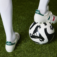 adidas Copa Mundial Mexique Gazon Naturel Chaussures de Foot (FG) Blanc Vert Rouge