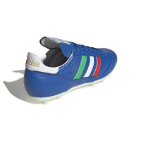 adidas Copa Mundial Italie Gazon Naturel Chaussures de Foot (FG) Bleu Vert Blanc Rouge