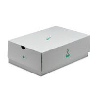 Nike Tiempo Legend 10 Elite Gazon Artificiel Chaussures de Foot (AG) Émeraude Vert Blanc