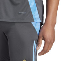 adidas Argentine Maillot d'Entraînement 2024-2026 Gris Foncé Bleu Clair Doré