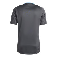 adidas Argentine Maillot d'Entraînement 2024-2026 Gris Foncé Bleu Clair Doré