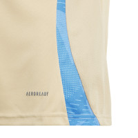 adidas Argentine Maillot d'Entraînement 2024-2026 Enfants Beige Bleu Clair Gris Foncé