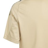 adidas Argentine Maillot d'Entraînement 2024-2026 Enfants Beige Bleu Clair Gris Foncé